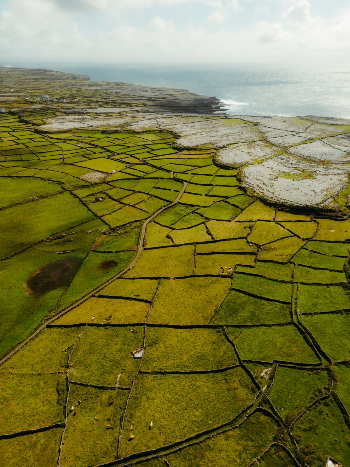 Aerial view of stone-walled green fields by the sea in County Clare